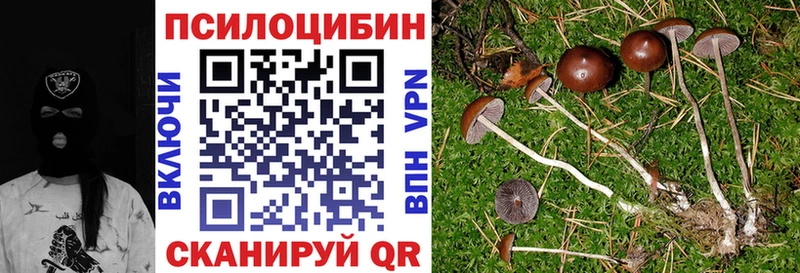 Галлюциногенные грибы Cubensis  Городец 